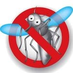 Захист від комах і гризунів